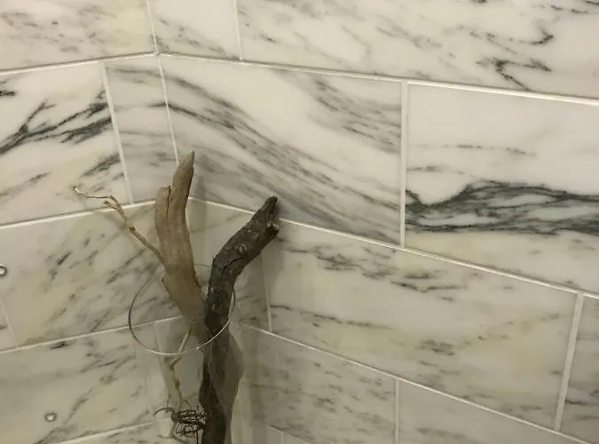 Nid Douillet A Bagatelle Lejlighed Deauville