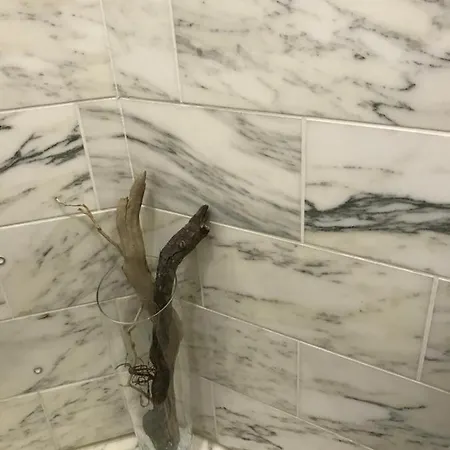 Nid Douillet à Bagatelle Appartement Deauville