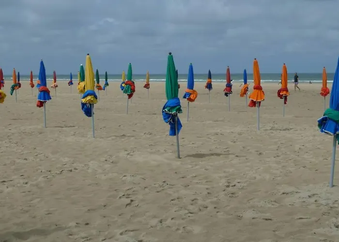 Nid Douillet A Bagatelle Daire *